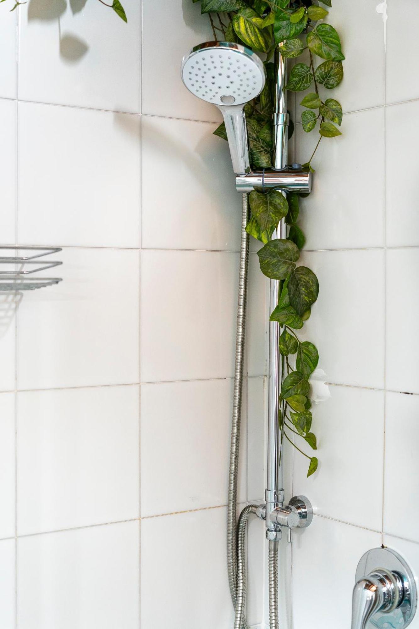 Piazza Santo Spirito Appartamento Con 2 Camere Matrimoniali Florens Exteriör bild